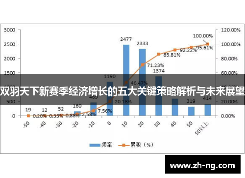 双羽天下新赛季经济增长的五大关键策略解析与未来展望