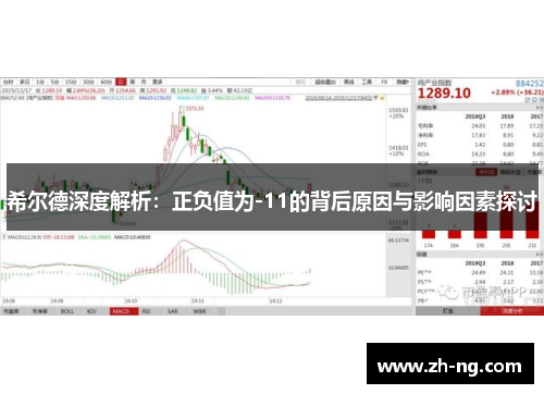 希尔德深度解析：正负值为-11的背后原因与影响因素探讨