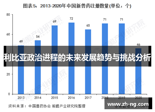 利比亚政治进程的未来发展趋势与挑战分析