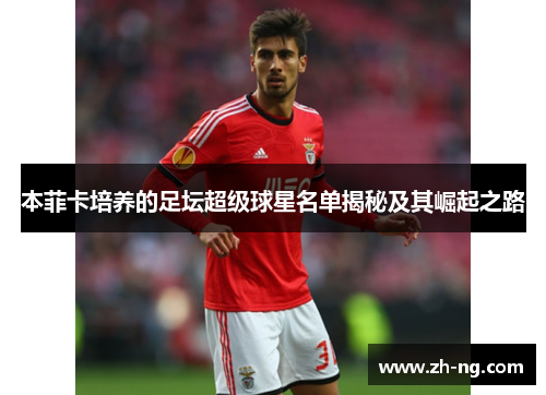 本菲卡培养的足坛超级球星名单揭秘及其崛起之路