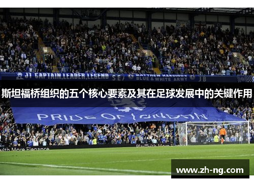 斯坦福桥组织的五个核心要素及其在足球发展中的关键作用