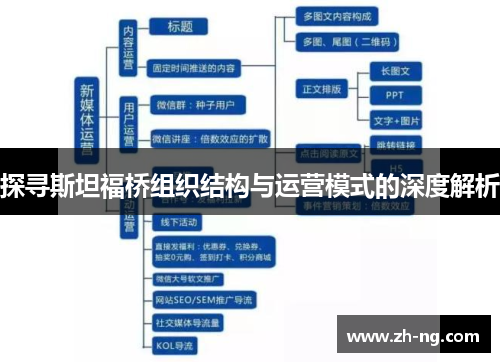 探寻斯坦福桥组织结构与运营模式的深度解析