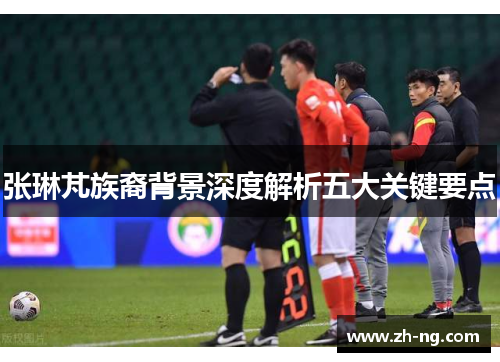 张琳芃族裔背景深度解析五大关键要点
